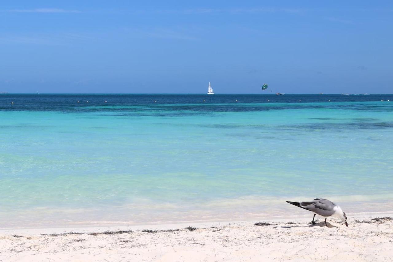 Seaak Cancun Rentals المظهر الخارجي الصورة