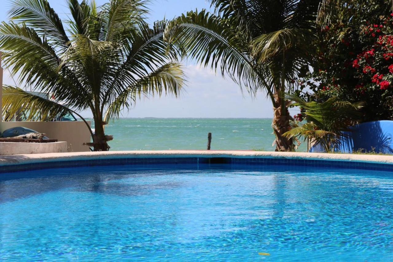 Seaak Cancun Rentals المظهر الخارجي الصورة